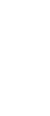 background z